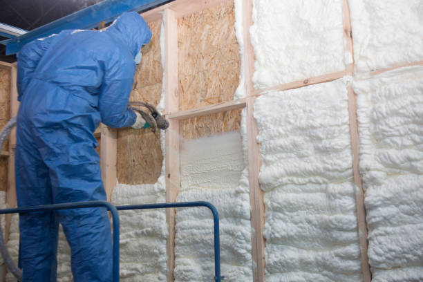 Best Attic Insulation Installation  in Craigsville, WV